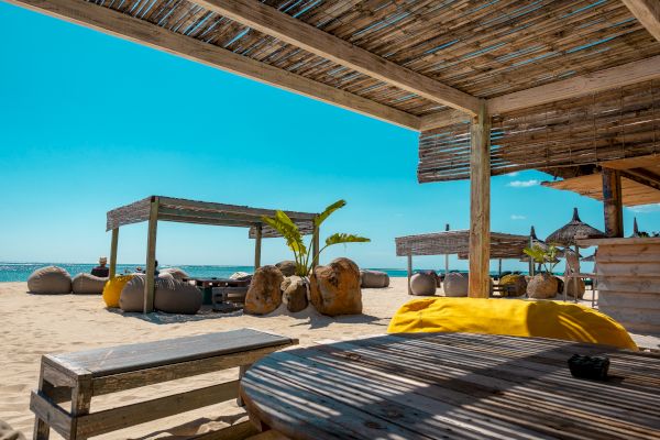 A beautiful beachside setup featuring shaded areas with wooden furniture, bean bags, and plants, under a clear blue sky.