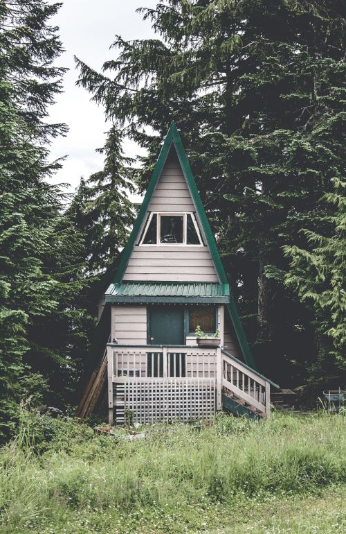 An A-frame cabin with a green roof surrounded by tall pine trees and greenery. The cabin has a small porch with stairs leading to its entrance.