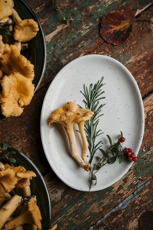 A white plate with yellow mushrooms, a sprig of rosemary, and small red berries arranged artistically on a rustic wooden table.