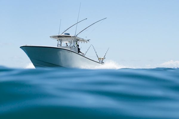 A motorboat with fishing poles is moving on the water with a clear blue sky in the background.