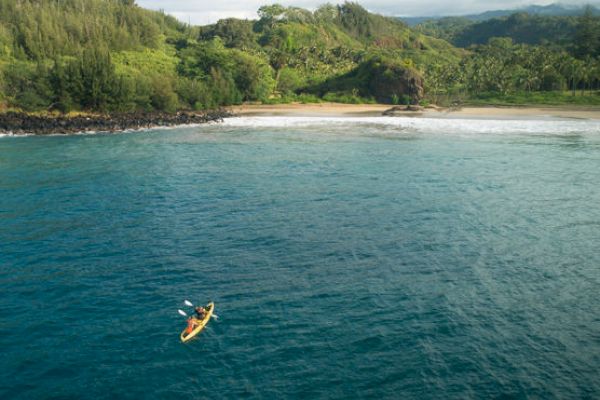 A lone kayaker paddles on calm blue water near a lush, green coastline with a sandy beach and dense forests in the background.