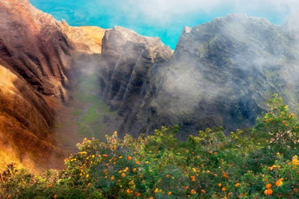 A scenic landscape featuring rugged mountains, lush greenery, vibrant flowers, and a blanket of mist.