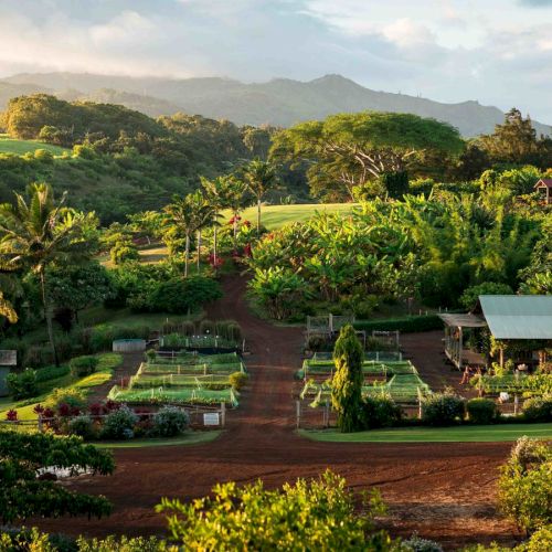 The image shows a lush tropical landscape with a garden, greenhouses, various plants, trees, and distant mountains under a partly cloudy sky.