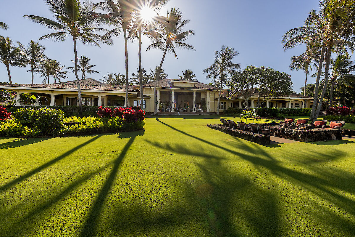 The image shows a sunny tropical landscape with palm trees, a lush green lawn, and a beautiful house in the background.