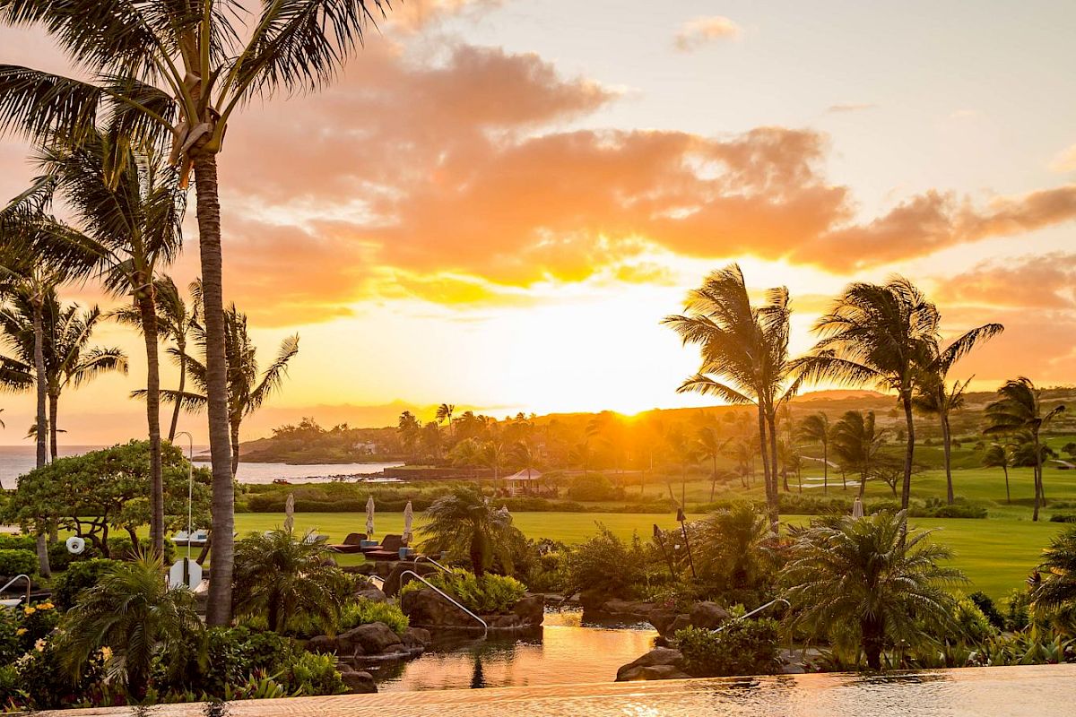 The image depicts a picturesque tropical landscape at sunset with palm trees, lush greenery, a serene pond, and a bright, golden sky.