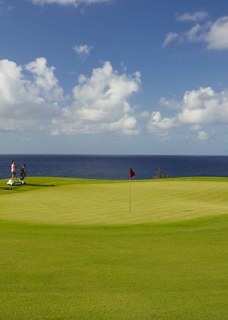 A scenic golf course with a putting green, a flag, two golfers, and a sand bunker, set against a backdrop of the ocean and a partly cloudy sky.