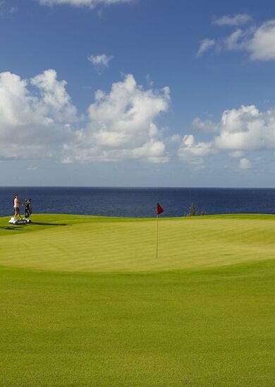 A scenic golf course with a putting green, a flag, two golfers, and a sand bunker, set against a backdrop of the ocean and a partly cloudy sky.