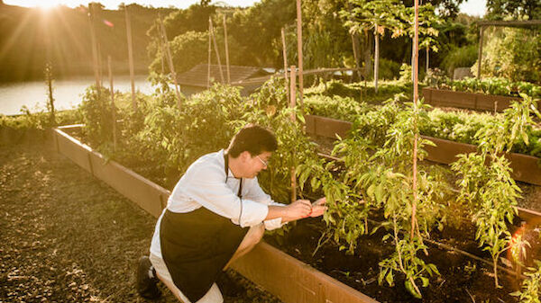 A person is tending to plants in a garden during sunset, surrounded by several neatly organized garden beds.