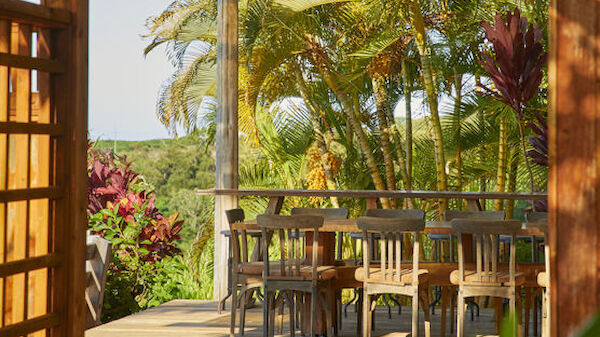 The image shows an outdoor dining area with wooden tables and chairs, surrounded by lush green and red-leaved plants, under a metal roof.