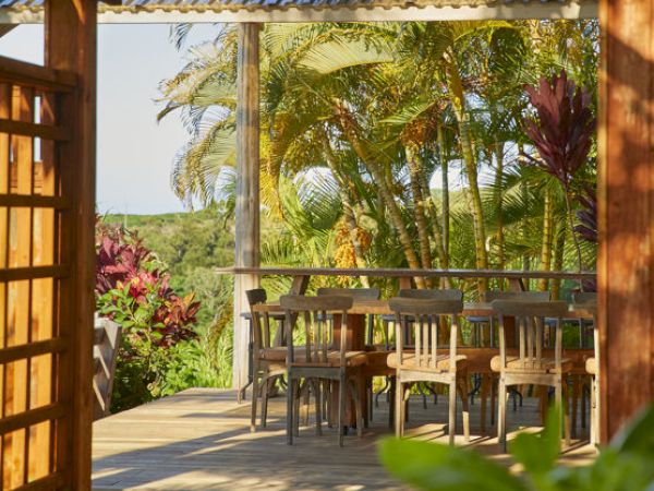 The image shows an outdoor dining area with wooden tables and chairs, surrounded by lush green and red-leaved plants, under a metal roof.