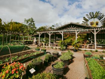 The image shows a lush nursery or garden center with various plants in pots and raised beds, covered structures, and a clear sky above.