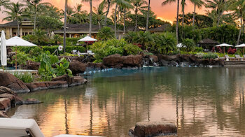 A serene poolside setting with lounge chairs, umbrellas, lush greenery, a calm pond, and palm trees against a picturesque sunset sky.