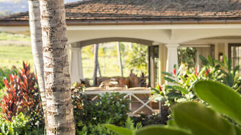 This image shows a tropical house surrounded by lush greenery, palm trees, and vibrant plants with a sunny outdoor setting.