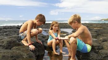 Three children are playing on rocky terrain by the ocean, exploring a small tide pool. The sky is partly cloudy.