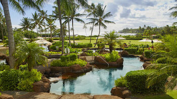 The image shows a tropical landscape featuring a pool surrounded by lush greenery, palm trees, and rocks, with a bright, partly cloudy sky above.