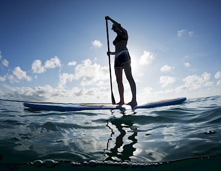 A person is paddleboarding on a calm sea under a clear sky, with the sun casting a silhouette on the water's surface.